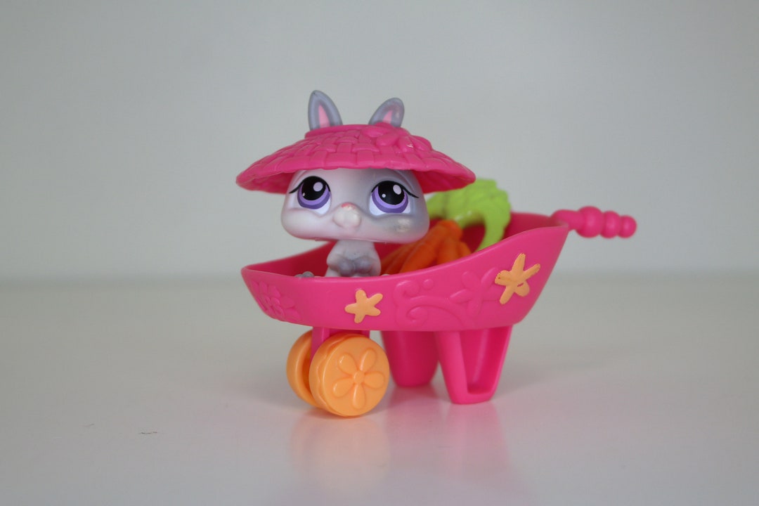 Hasbro Littlest Pet Shop Authentic Pet With Accessories: 215 - Etsy