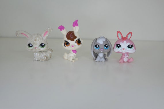 Pet shop rabbit price hot sale