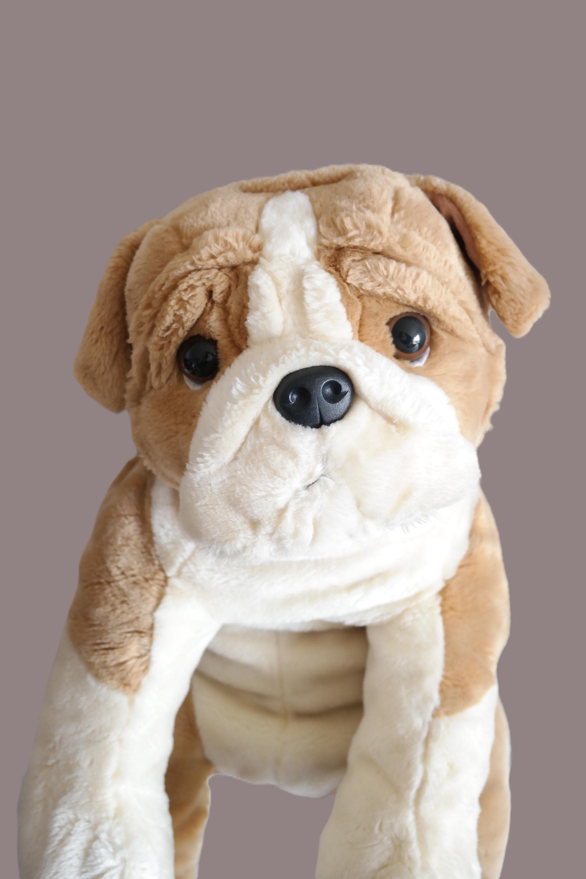 Vintage plush bulldog - Etsy 日本