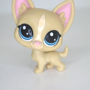 Authentic LPS Chihuahua #92: Poco La Playa, Retired Hasbro Collectible image 1