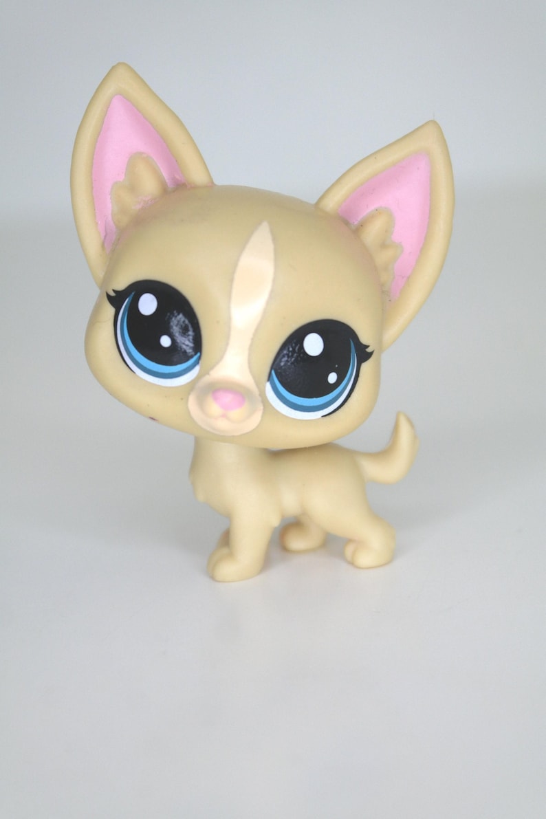 Authentic LPS Chihuahua #92: Poco La Playa, Retired Hasbro Collectible image 1