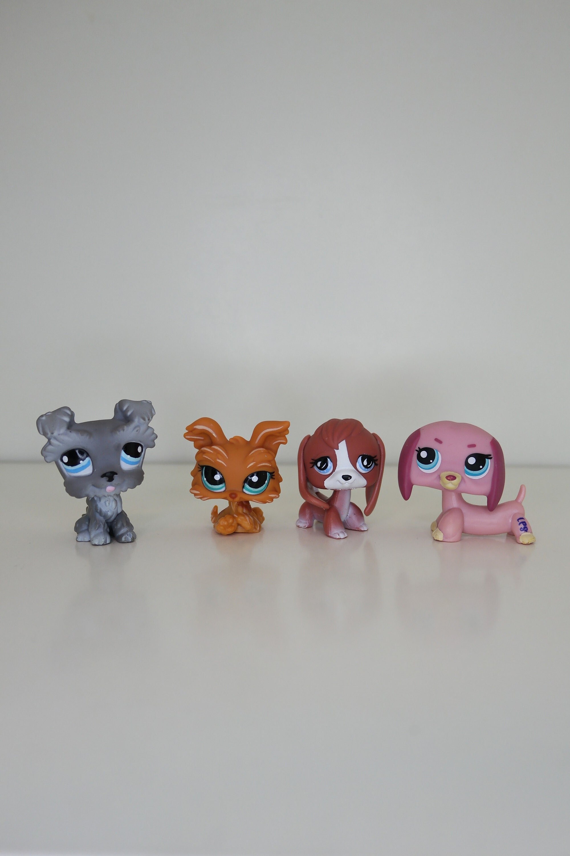 Lps yorkshire terrier 2025