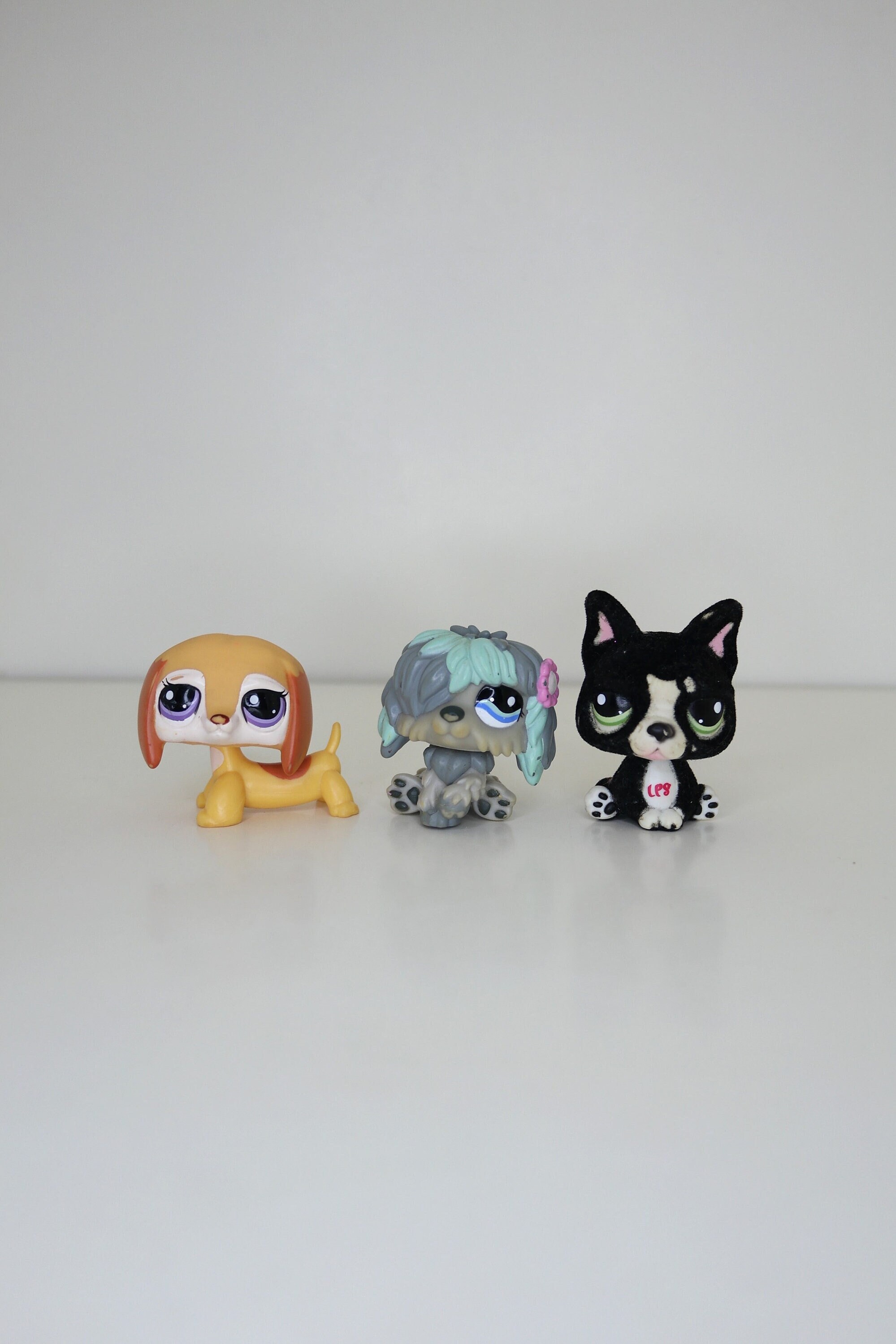 French bulldog lps sale