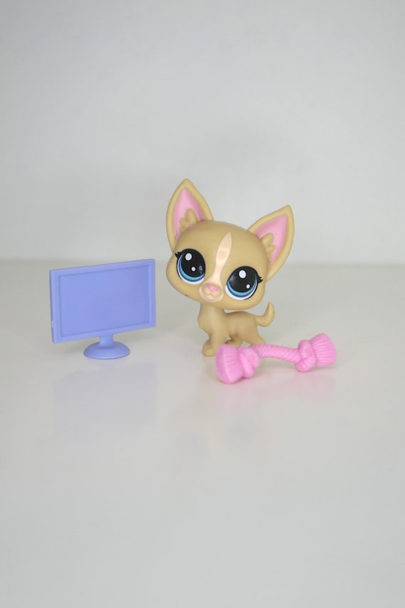 Littlest Pet Shop Chihuahua #92: Poco La Playa, Retired LPS Collectible