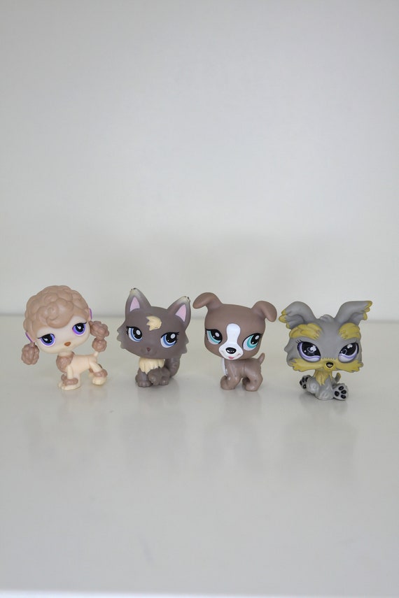 Www hasbro com littlest pet shop 2025