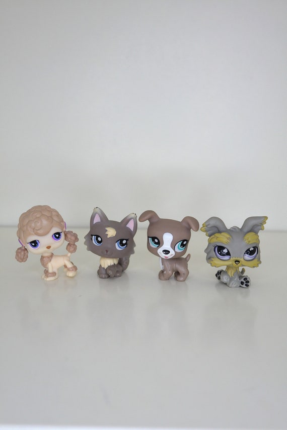 Jeu magasin d'animaux de compagnie Littlest Pet Shop