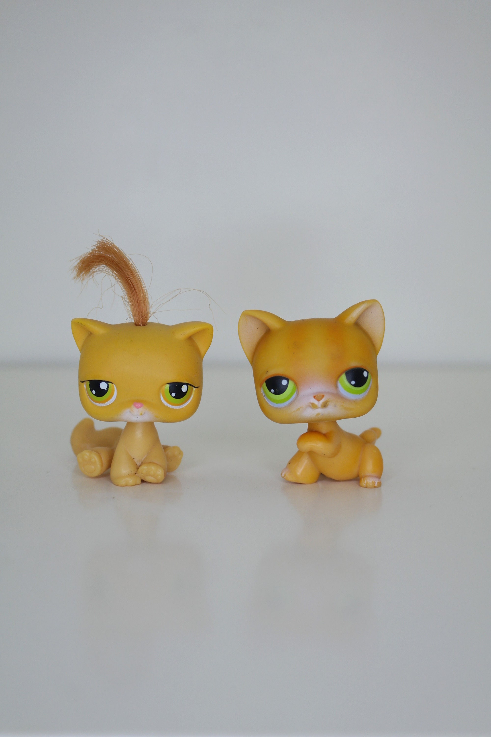 Lps paw store up cat