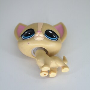 May include: A small, beige plastic toy dog with blue eyes and pink ears. The dog is in a sitting position with its tail curled around its legs.