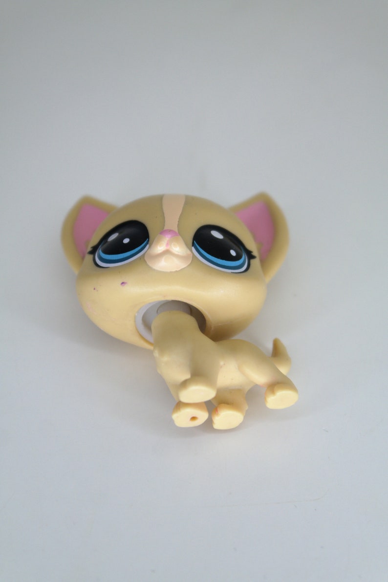 May include: A small, beige plastic toy dog with blue eyes and pink ears. The dog is in a sitting position with its tail curled around its legs.