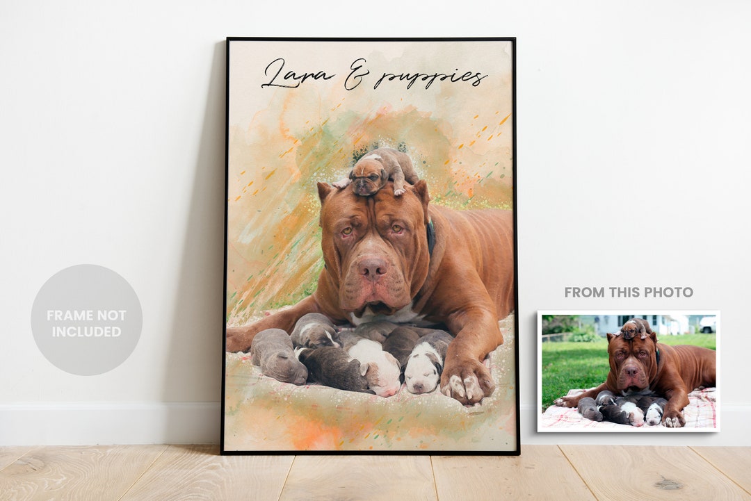 Like Hand Drawn Pet Portraits Custom Dog & Cat Art, Royal Style, A3 and ...