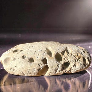 May include: A light beige, porous rock with numerous holes. The rock has an oblong shape and a rough texture. The background is a dark, reflective surface with a subtle sparkle.
