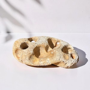 Puede incluir: Una roca beige y porosa con varios agujeros. La roca tiene una forma redondeada y una textura rugosa. La iluminación crea sombras que resaltan los agujeros y la textura de la roca. La roca está sobre una superficie blanca.