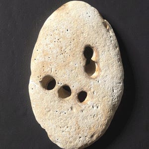 Op de afbeelding: Een ovaalvormige, lichtbeige steen met meerdere cirkelvormige gaten. De steen heeft een ruw, getextureerd oppervlak, wat wijst op natuurlijke verwering. De gaten zijn gelijkmatig verdeeld over het oppervlak van de steen.