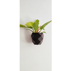 May include: A black geometric planter with a green plant growing inside. The planter is mounted on a white wall.