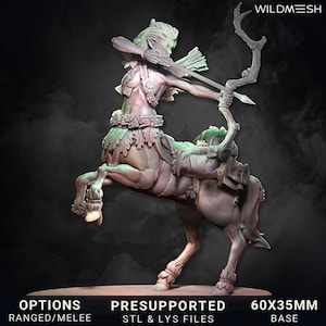 Centaur Archer and Warrior
