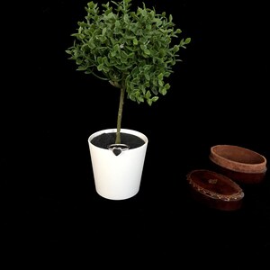 K&ouml;nnte beinhalten: Ein kleiner, k&uuml;nstlicher gr&uuml;ner Baum in einem wei&szlig;en Topf mit einem schwarzen herzf&ouml;rmigen Ring. Eine kleine, ovale, braune Schmuckschatulle mit dekorativem Deckel ist neben dem Topf ge&ouml;ffnet. Der Hintergrund ist schwarz.