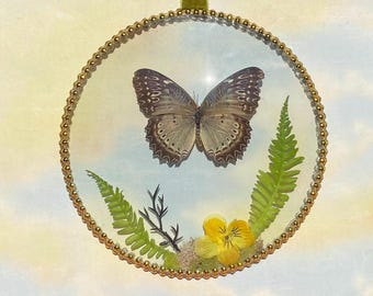 Real Preserved Red Lacewing Butterfly Wall Decor | Vintage Style Convex Glass Display, Gothic Curiosity Art, Natural History Specimen