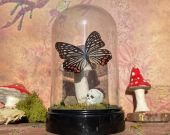 Butterfly Specimen on Toadstool—Fantasy Curiosity Dome | Gothic Nature Decor, Oddity Art, Fairycore Insect Display