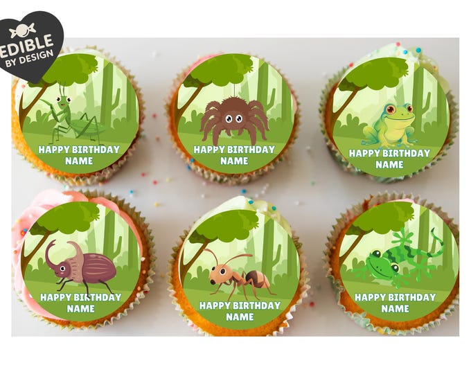Bug Insect Theme Birthday Cake Toppers Edible matching Invitations Stickers Balloon Party Pack