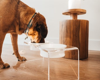 Acrylic Dog Bowl - White Dog Bowl - Modern Pet Bowl - Clear Pet Bowl - White Feeder - Pet Feeder - Cat Bowl - White Cat Bowl - Lucite