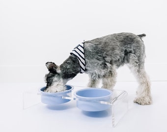 Acrylic Dog Bowl - Blue Dog Bowl - Modern Pet Bowl - Clear Pet Bowl - Pastel Color Feeder - Pet Feeder - Cat Bowl - Blue Cat Bowl - Lucite