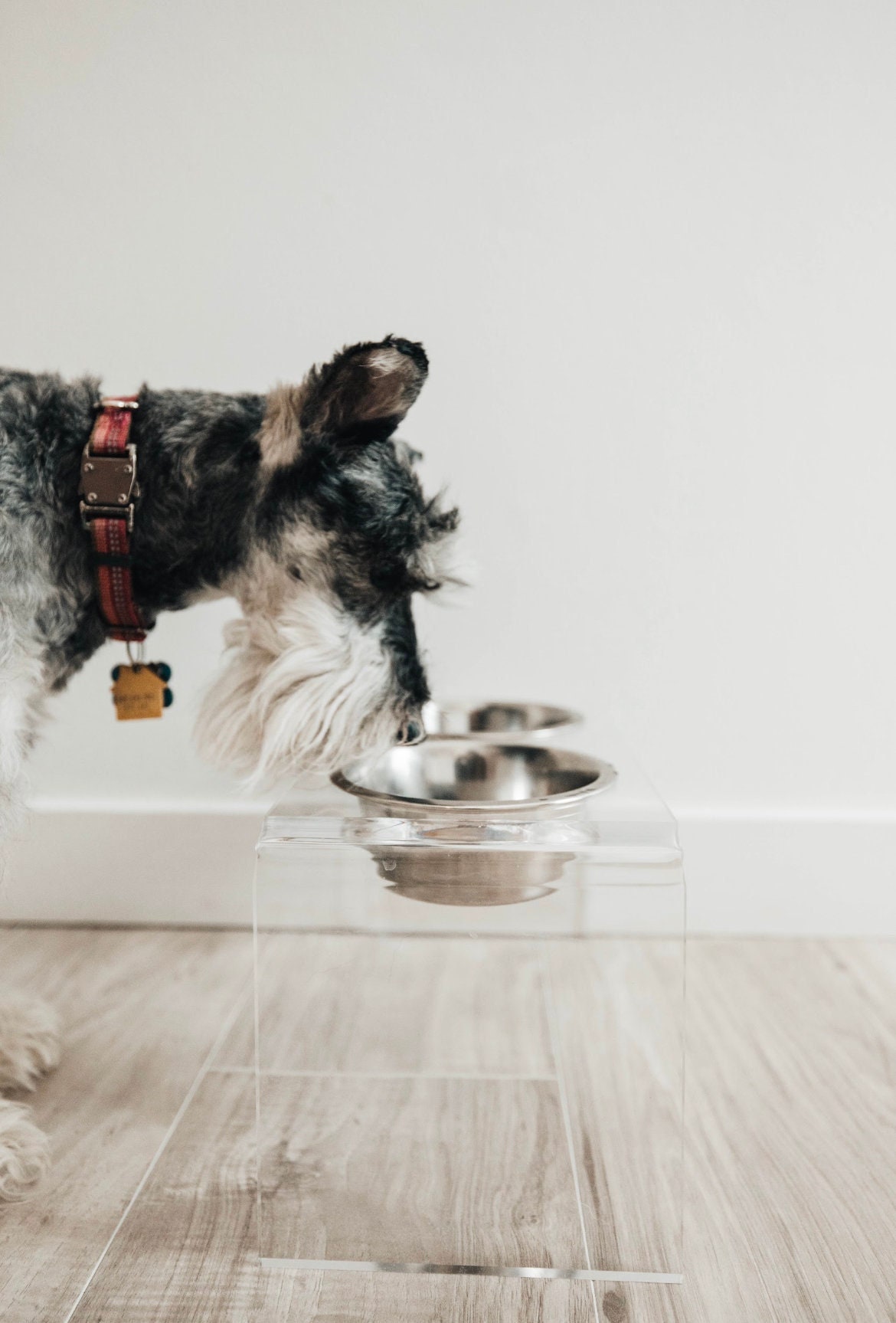 Acrylic Elevated Dog Bowls - Buy Online