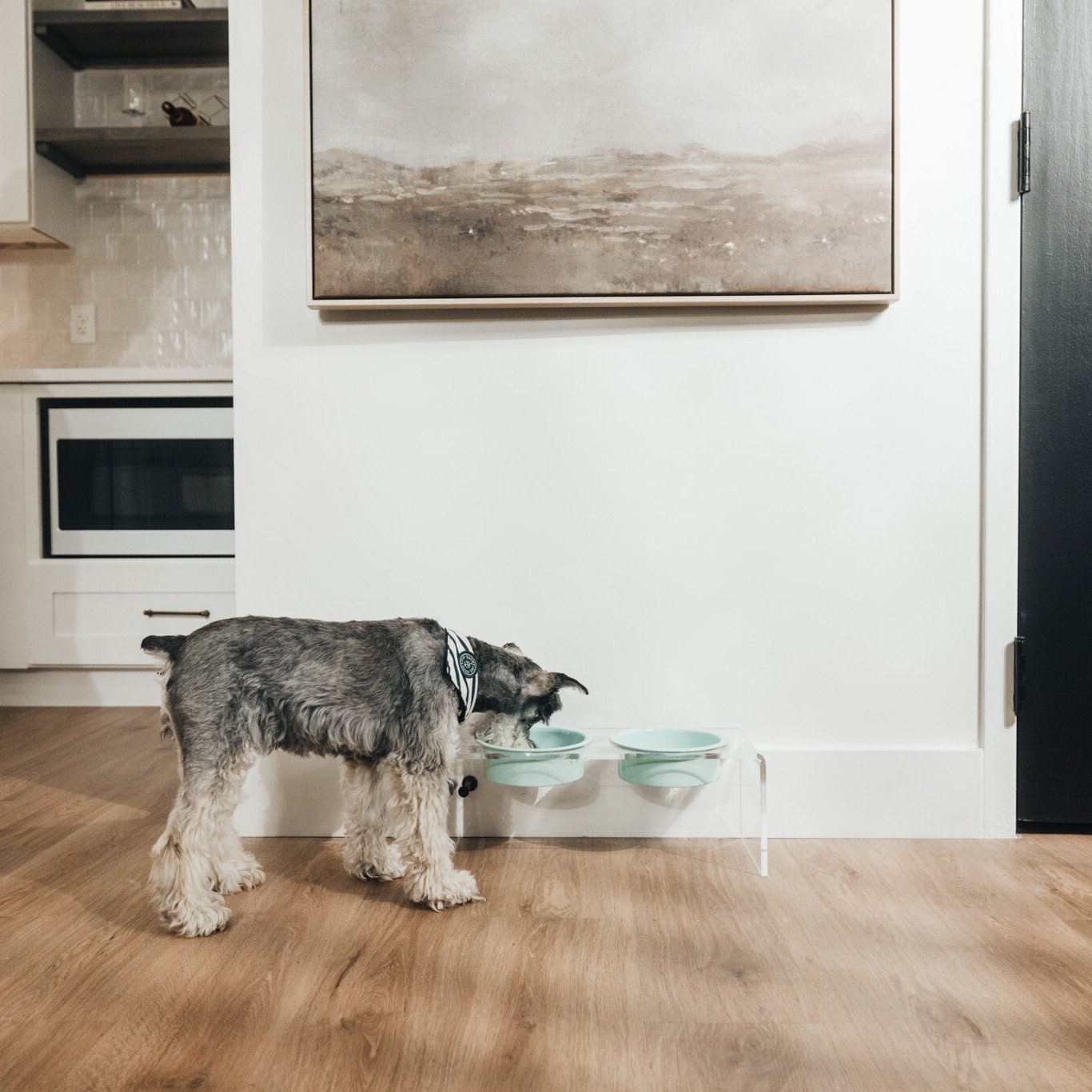 Acrylic Dog Bowl Green Dog Bowl Modern Pet Bowl Clear Etsy