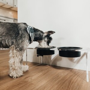 Clear Acrylic Dog Feeders, Modern Elevated Dog Bowls