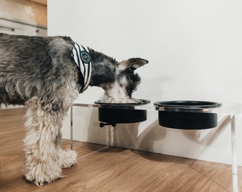 Acrylic Dog Bowl - Black Dog Bowl - Modern Pet Bowl - Clear Pet Bowl - Black Feeder - Pet Feeder - Cat Bowl - Black Cat Bowl - Lucite