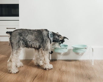 Acrylic Dog Bowl - Green Dog Bowl - Modern Pet Bowl - Clear Pet Bowl - Green Feeder - Pastel Pet Feeder - Cat Bowl - Green Cat Bowl - Lucite