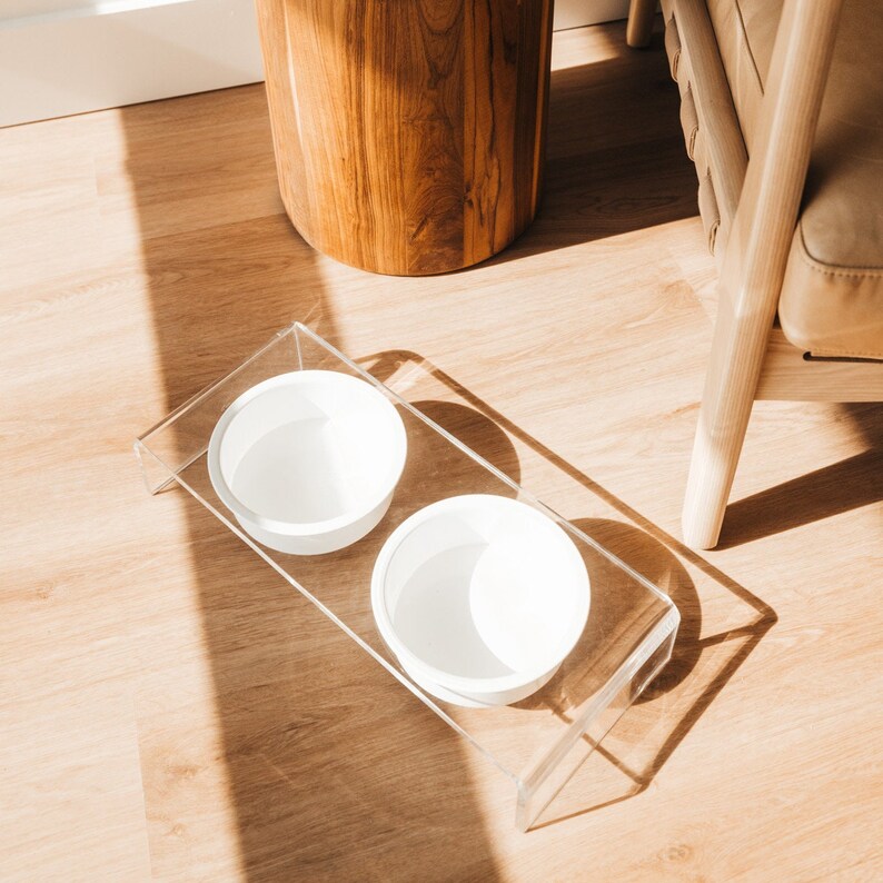 Acrylic Dog Bowl White Dog Bowl Modern Pet Bowl Clear Pet Bowl White Feeder Pet Feeder Cat Bowl
