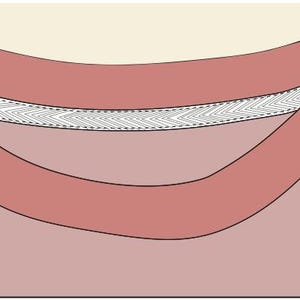 Puede incluir: Primer plano del escote de una camisa rosa con ribete blanco. El ribete tiene un patrón en zigzag.