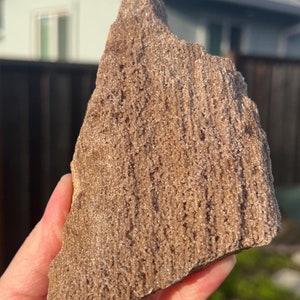 Rare Druzy Petrified Wood from Indonesia, Petrified Wood, Petrified Wood with Druzy, Permineralized Wood Druzy Fossil Crystal Item #550