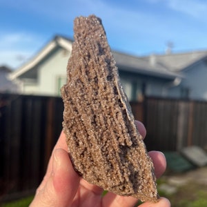Rare Druzy Petrified Wood from Indonesia, Petrified Wood, Petrified Wood with Druzy, Permineralized Wood Druzy Fossil Crystal Item #545