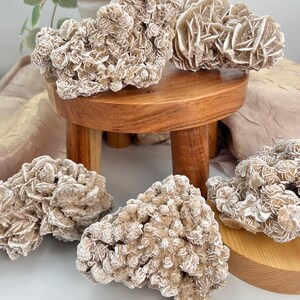 May include: Four rose quartz specimens, also known as desert rose, on a wooden stand and a wooden surface. The quartz is a light brown color with white crystals.