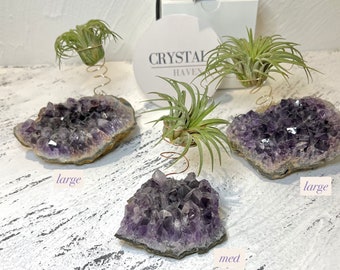 Crystal Air Plant Holder Amethyst Tillandsia Plant Crystals Anniversary Gift Birthday Gift Home Table Decor Cute Gifts Rocks Planter Stone