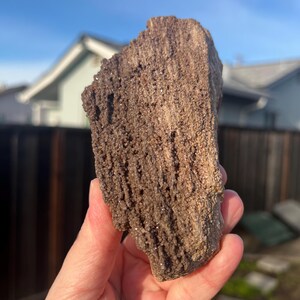 Rare Druzy Petrified Wood from Indonesia, Petrified Wood, Petrified Wood with Druzy, Permineralized Wood Druzy Fossil Crystal Item #549