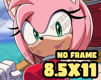 Amy Rose (Station Square) - [Sonic The Hedgehog] Limited Fine Art Print