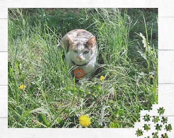 Personalized Jigsaw Puzzle, Custom Photo Puzzle, Custom Puzzle From Photo, Personalized Puzzle, Birthday Gift, Pet Puzzle, Photo Puzzle