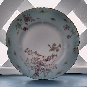 Antique Limoges Porcelain Cabinet Plate: French Hand-Painted Floral Decor