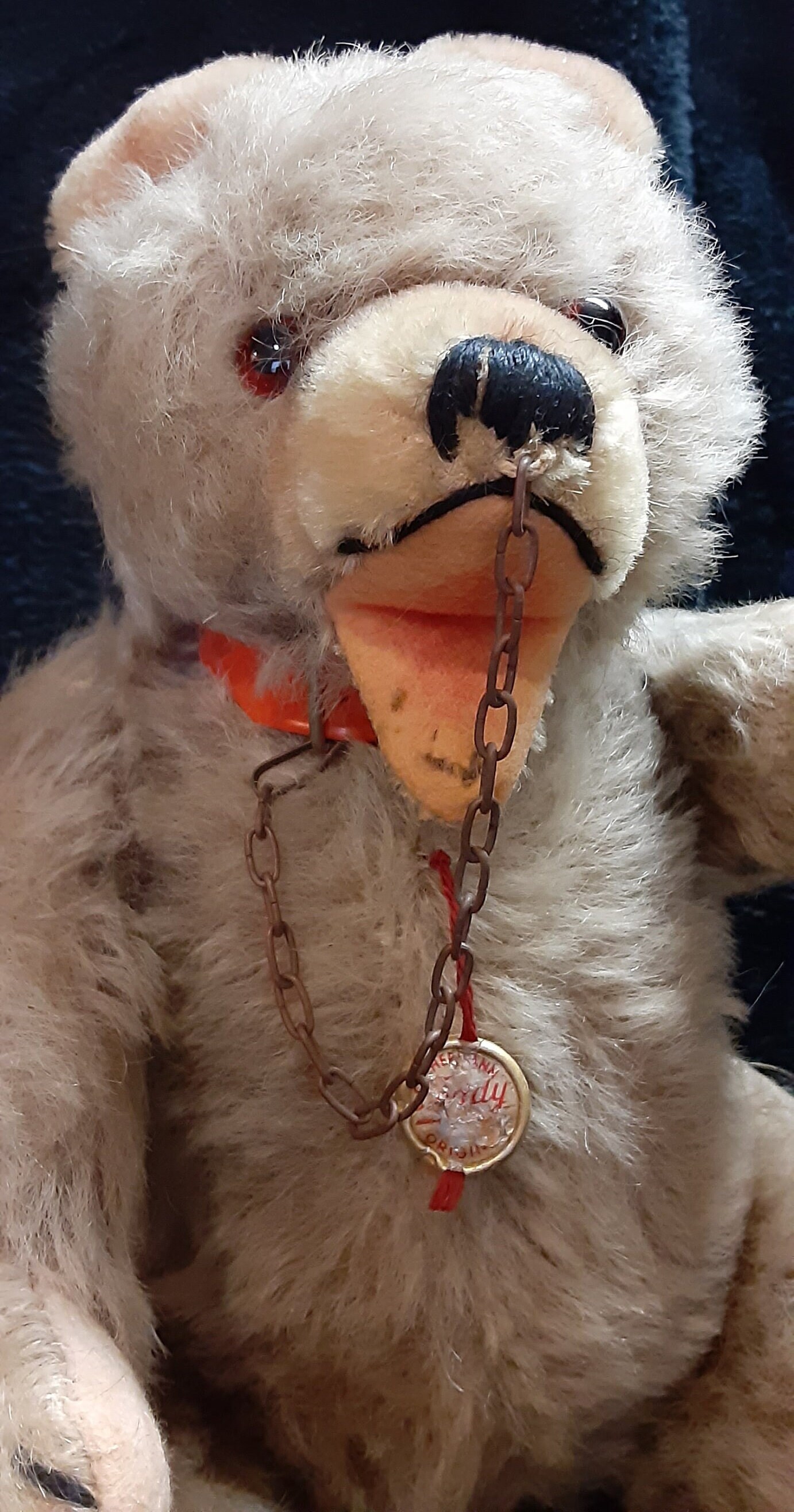 Hermann Original Teddy With Chain Collar and Metal Hang Tag