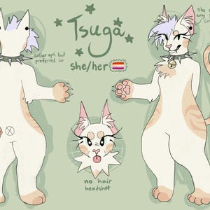 Commissioni di fogli di riferimento furry! / LEGGI DESC