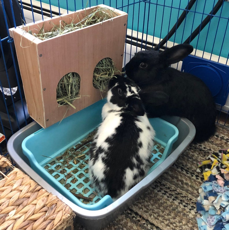 Medium Wooden Hanging Bunny Hay Feeder Box Rabbit Enrichment Etsy