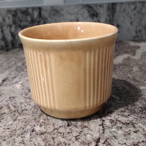 May include: A small, pale orange ceramic planter with vertical lines. The planter is sitting on a gray countertop.