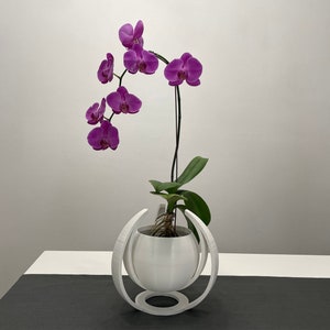 May include: A white ceramic planter with a geometric design holds a potted orchid plant with pink flowers. The plant is in a white pot with a round base and a geometric design.