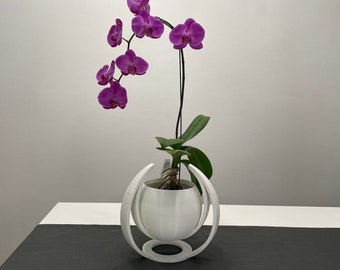 May include: A white ceramic planter with a geometric design holds a potted orchid plant with pink flowers. The plant is in a white pot with a round base and a geometric design.