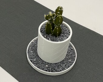 May include: A white ceramic planter with a geometric pattern holds a small cactus plant. The planter is sitting on a gray stone coaster.
