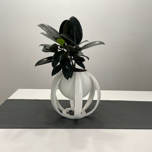 May include: A white, geometric planter with a round, white pot inside. The planter has a spherical shape with a wire frame design. A dark green plant with large, dark leaves is growing in the pot.