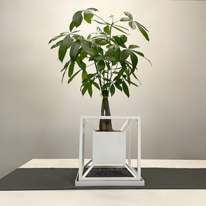 May include: A white planter with a geometric design holds a green potted plant with multiple stems and leaves. The planter is sitting on a gray table runner.