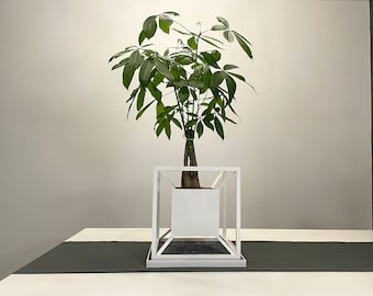 Tesseract: Cube shaped geometric planter and centerpiece. Modern, minimalist pot for succulents, cactus, bonsai, and other house plants.